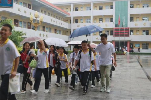 江苏省南京林业大学水杉支教在洛南县石门镇中心小学教学点开课了