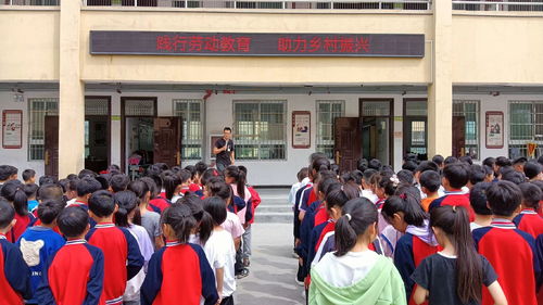 以劳润心 以劳促情 镇平县杨营镇程庙小学劳动教育实践活动