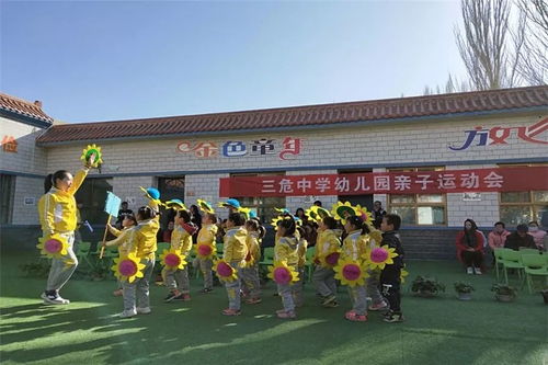 来自天泽幼儿园 七里镇中学 敦煌二中 北街小学 郭家堡中学 三危中学的校园报道