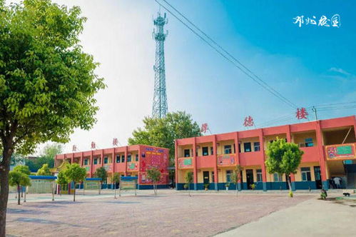 邓州市白牛镇盛营小学隆重举行2020年秋期素质展示