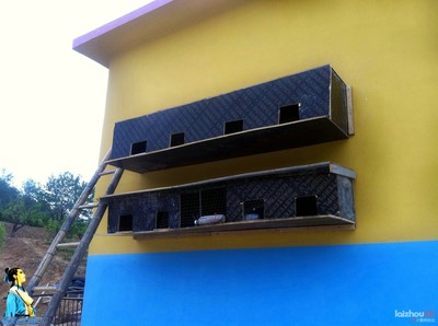 莱州论坛-莱州社区-莱州人上莱州论坛-莱州第一人气社区 -