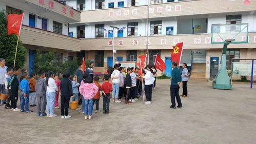 创建文明城 爱卫齐参与 ,宣威东山镇歌可小学在行动