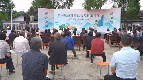 6月20日,堰口镇...堰口镇岳岭村举行迎端午农产品消费展销活动 西乡县人民政府