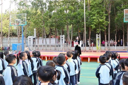 现场直击 东坑中小学 幼儿园开学啦