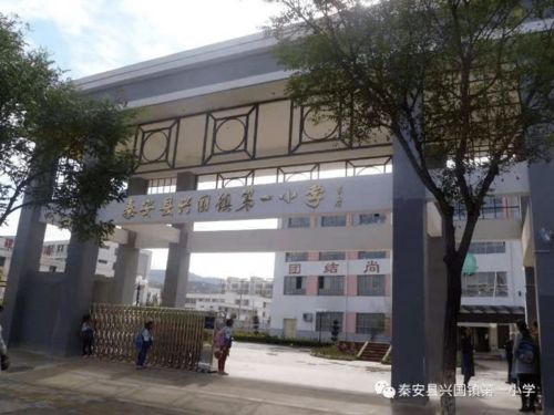 以学促教 西咸沣西第一小学 甘肃省兴国镇第一小学整本书项目式学习优秀学员展示分享