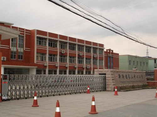 新街镇长山中心小学与莱州市沙河镇大王小学 两所基层教育机构的探索与展望