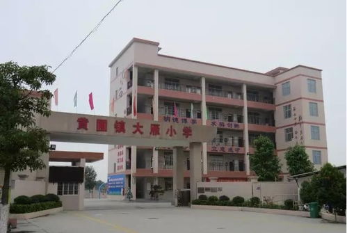中山市黄圃镇大雁小学