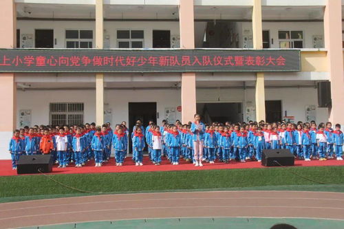 童心向党 争做时代好少年——仓上镇中心小学新队员入队仪式暨表彰活动