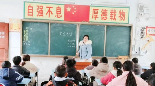 关注交通安全，关爱生命健康——贾宋镇薛关小学与莱州市沙河镇大王小学交通安全系列活动纪实